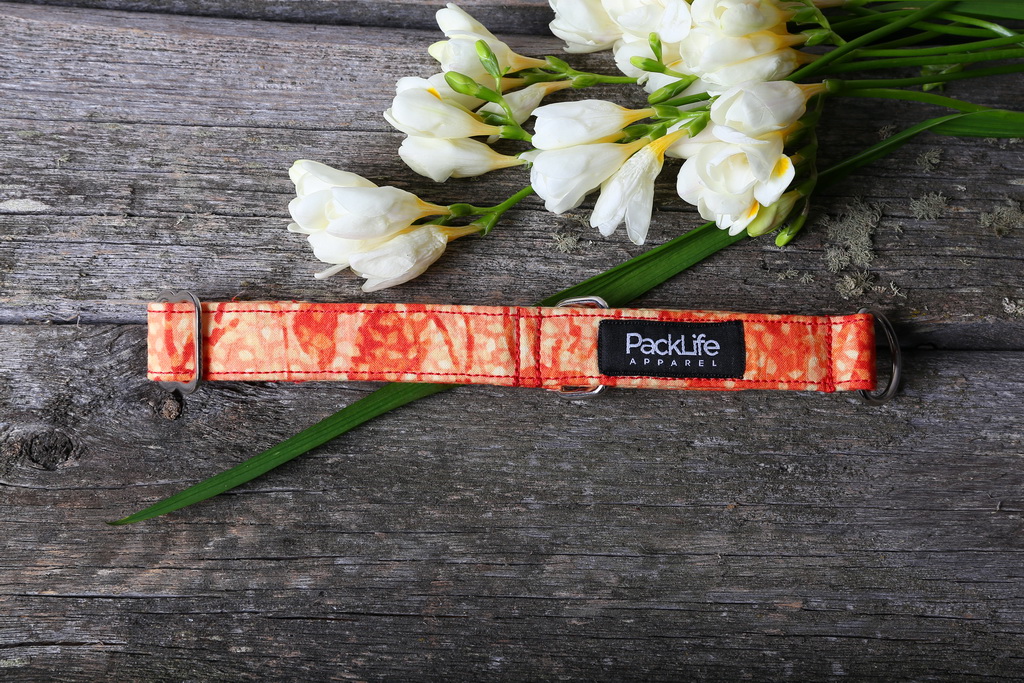 017IMG_9125 aurora orange