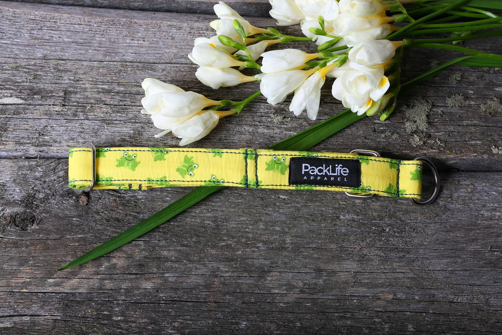 018IMG_9126happy hop