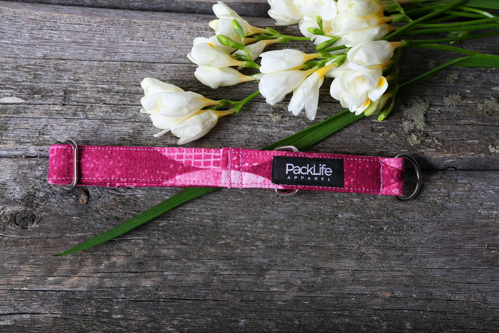 020IMG_9128aurora magenta