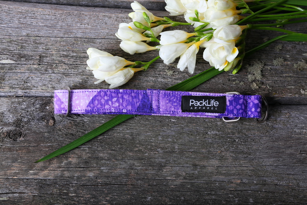 026IMG_9136 aurora purple