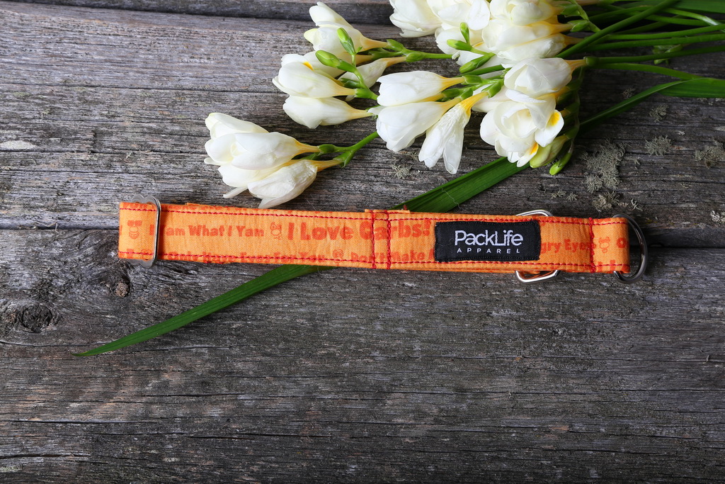 029IMG_9139 carb love orange