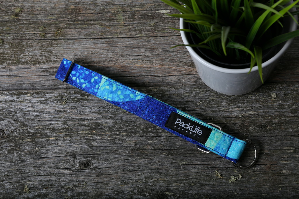 IMG_5584 Aurora blue