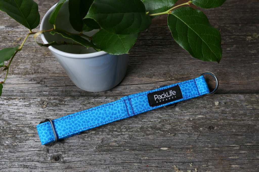 077 Blue Jelly Beans_resize